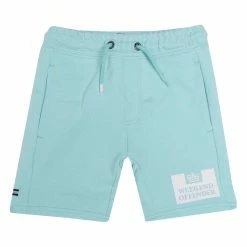 Boy's Weekend Offender Infant Bension Shorts in aqua - Blue